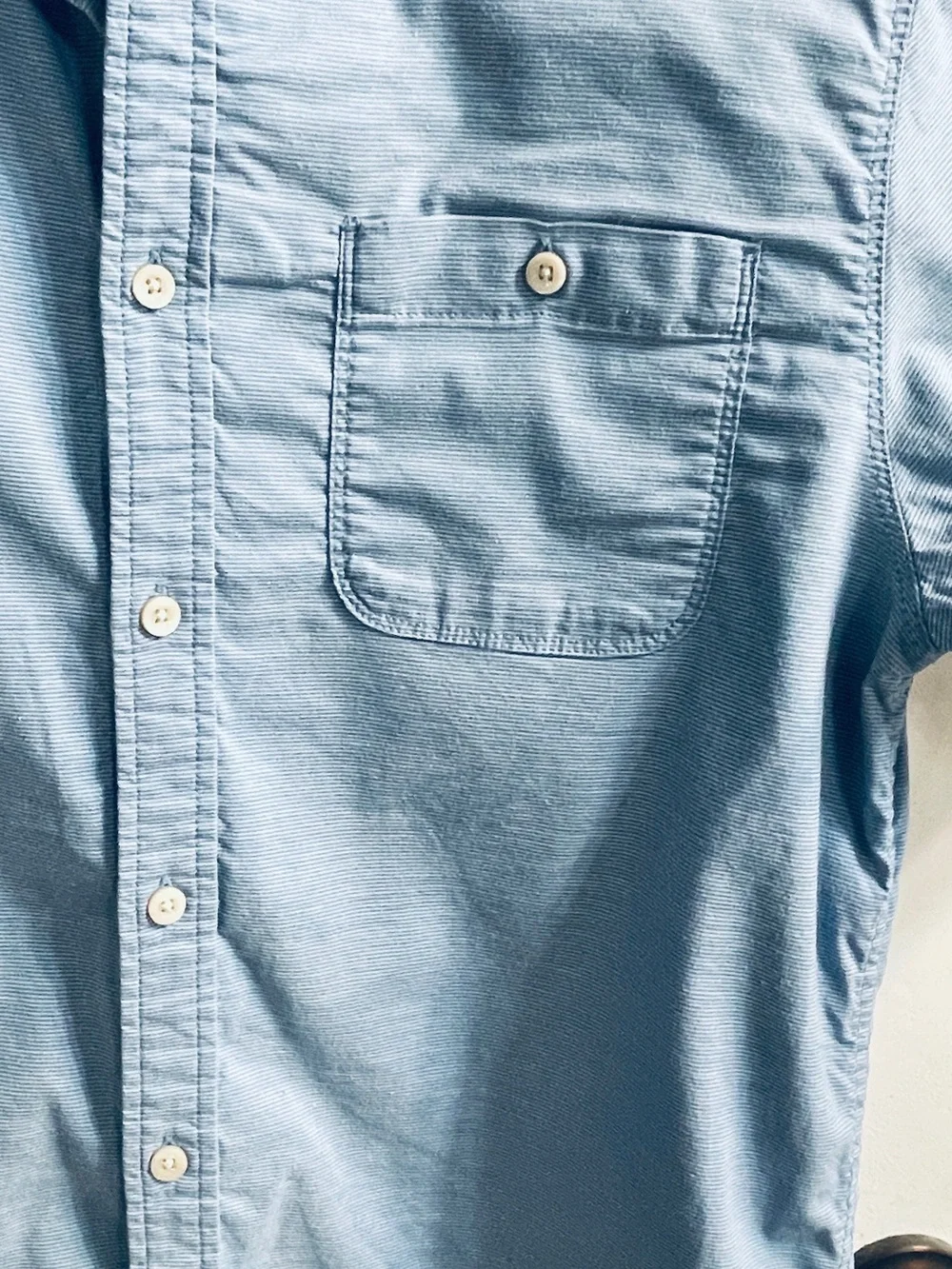 The North Face Men's Light Blue and White Stripe Short-Sleeve Button-Up Shirt